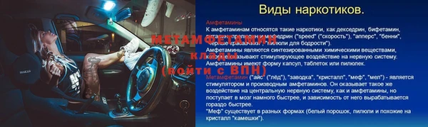 прущие грибы Абдулино