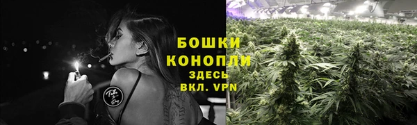 прущие грибы Абдулино