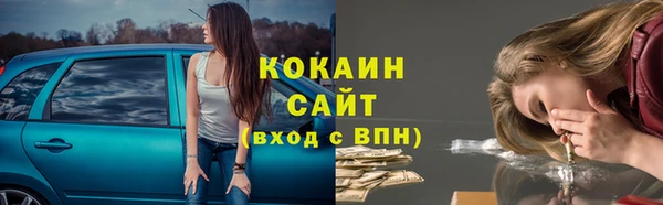 прущие грибы Абдулино