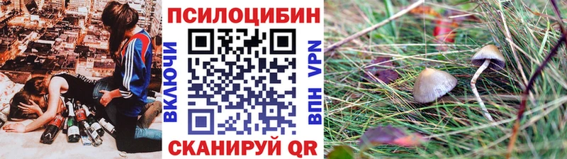 наркотики  Алагир  mega онион  Псилоцибиновые грибы прущие грибы 